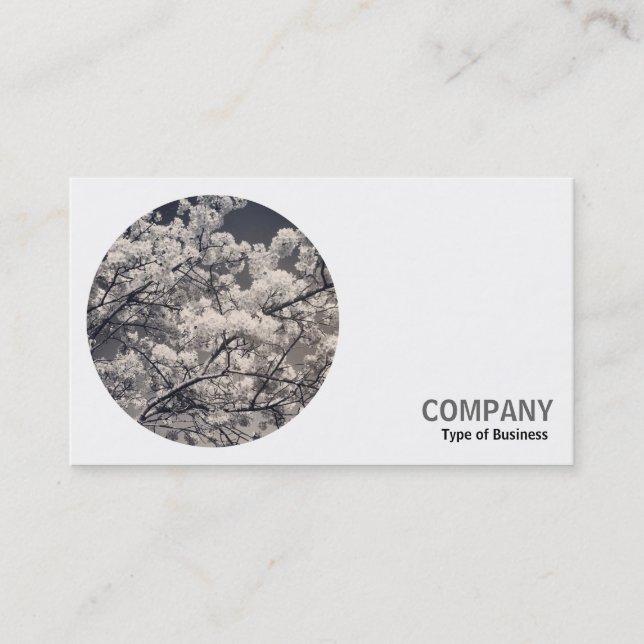 Round Photo - Cherry Blossom B&W Business Card (Front)