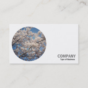 Round Photo - Cherry Blossom Business Card