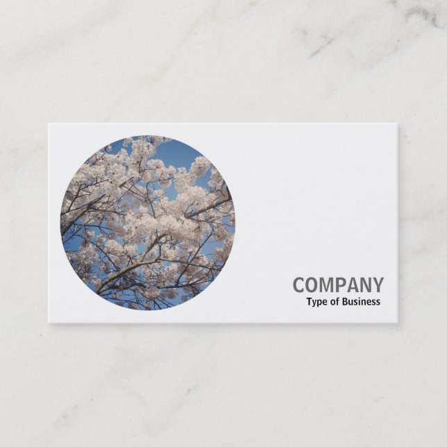 Round Photo - Cherry Blossom Business Card (Front)