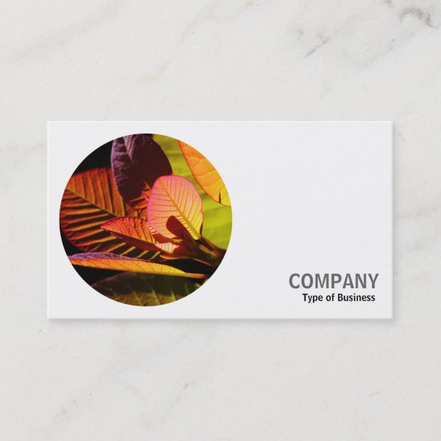 Round Photo - Colourful Leaves Business Card (Front)