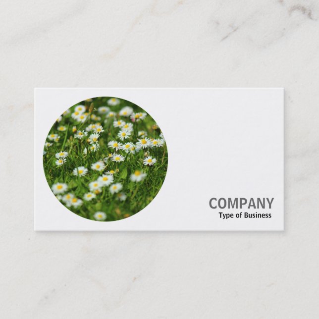 Round Photo - Daisies Business Card (Front)