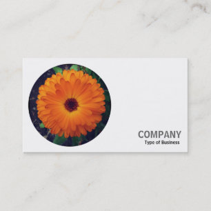 Round Photo - English Marigold Business Card
