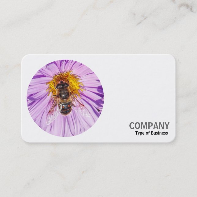 Round Photo - Honey Bee on a Michaelmas Daisy Business Card (Front)