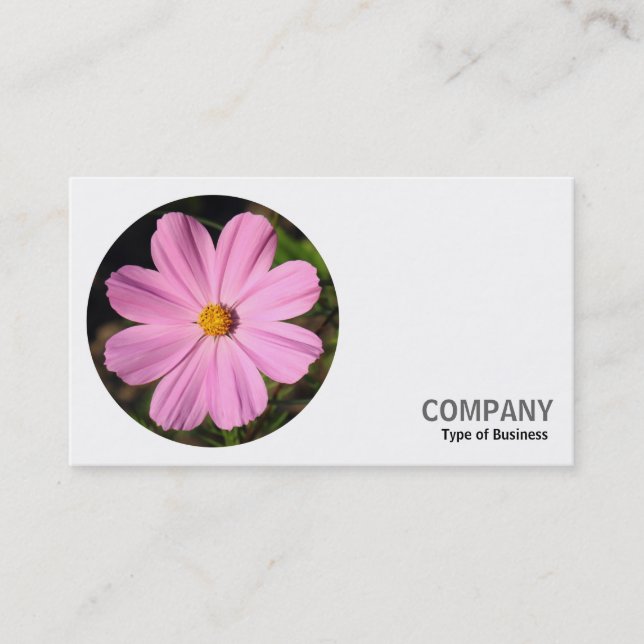 Round Photo - Pink Cosmos Business Card (Front)