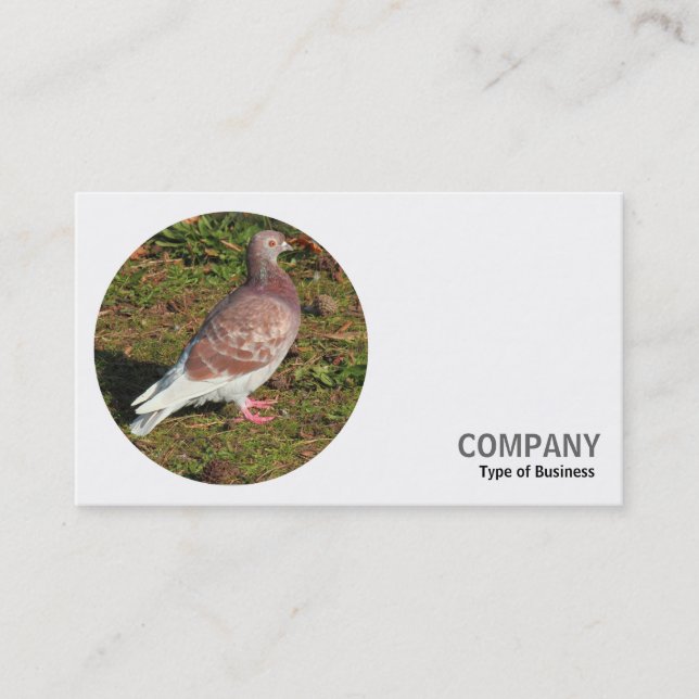Round Photo - Red Pigeon Business Card (Front)