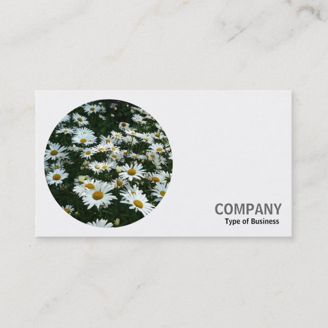 Round Photo - Shasta Daisies Business Card (Front)