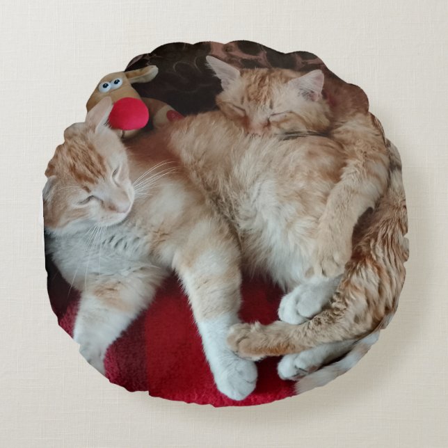 Round Pillow (Front)