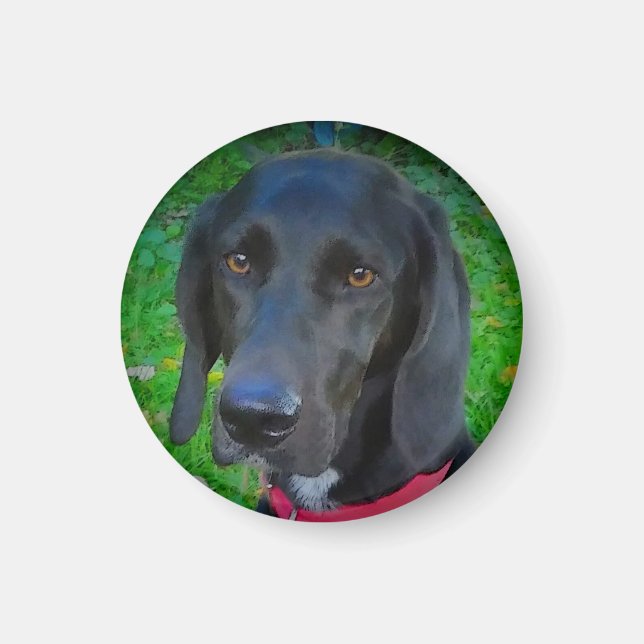 ROUND REFRIGERATOR MAGNET, BLACK LAB, GIFTS, PETS MAGNET (Front)