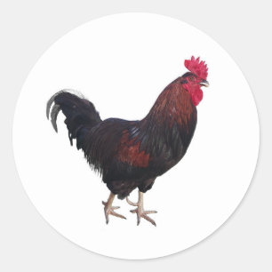 Round Rooster Stickers
