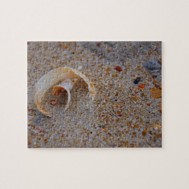 Round Seashell Puzzle (Horizontal)