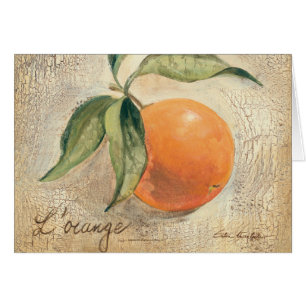 Round Shiny Orange Fruit