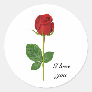 Round stickers with rose