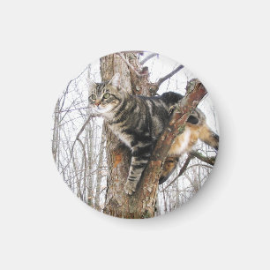 Round Tabby Cat Magnet