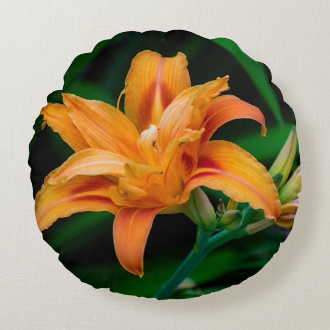 Round Throw Pillow (16") (Front)