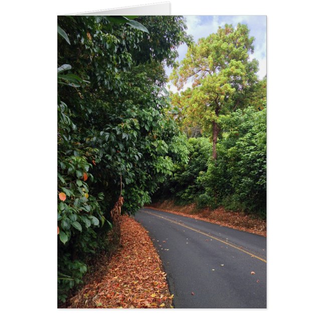 Round Top Drive (Front)