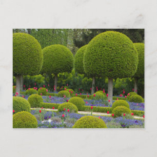 Round  Trees Postcard