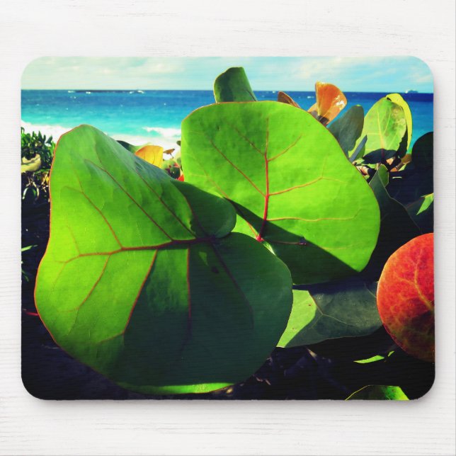 Round Tropical Leaves Mouse Mat (Front)