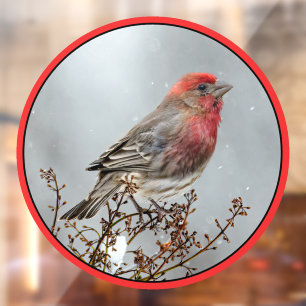 round window cling