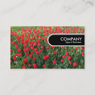 Rounded Edge Tag - Bed of Red Tulips 01