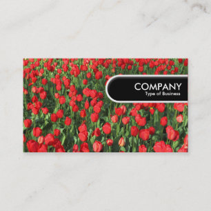 Rounded Edge Tag - Bed of Red Tulips 02
