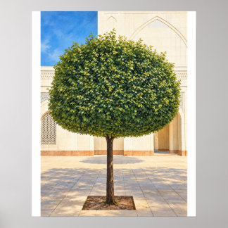 Rounded Topiary Tree 16x20 Unframed Art Print