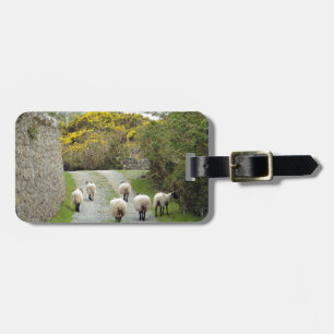 Roundstone Rush Hour Luggage Tag