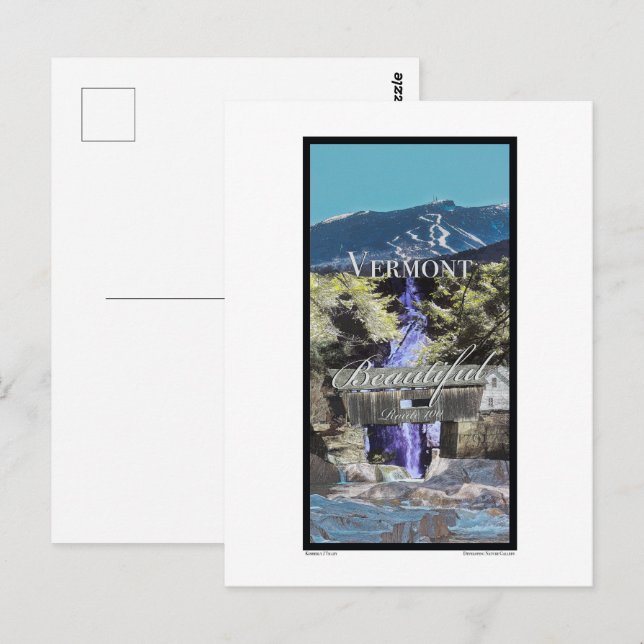 Route 100, Vermont Postcard (Front/Back)