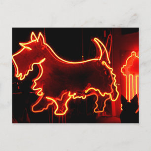 Route 66 neon sign postcard