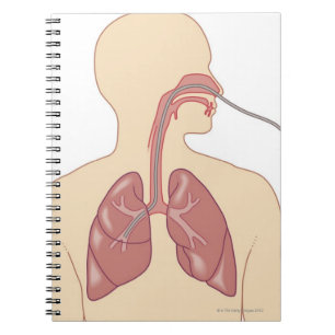 Route of Bronchoscope Notebook