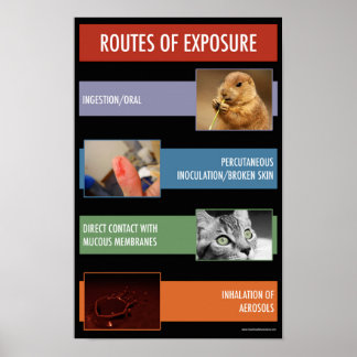 Route of Exposure Safety Informational Poster