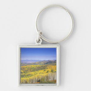 Routt National Forest in Autumn colour, near Key Ring