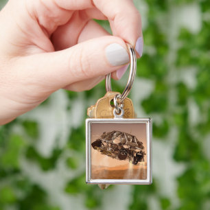 Rover & Descent Stage For Mars Science Laboratory Key Ring