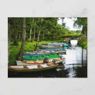 Row Boats, Killarney, Ireland Postcard