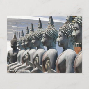 Row of Buddha sculptures Postcard