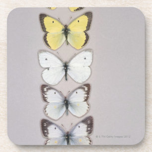 Row of butterflies coaster