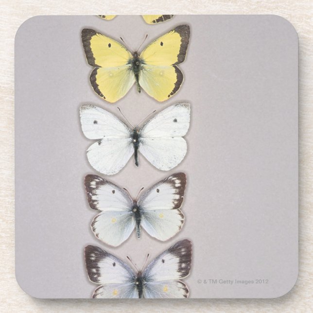 Row of butterflies coaster (Front)