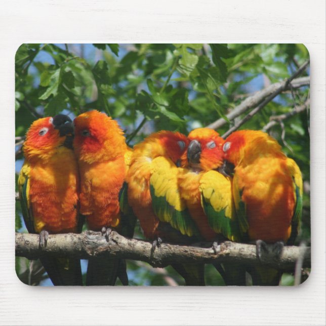 Row of Cute Little Parrots Snuggling Mouse Pad (Front)