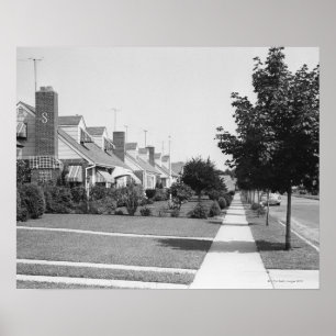 Row of Houses Poster