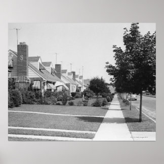 Row of Houses Poster