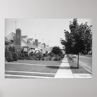 Row of Houses Poster