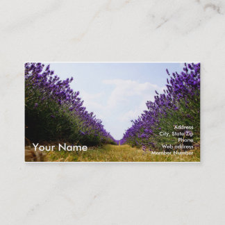 Row of Lavender Business Card
