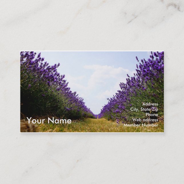 Row of Lavender Business Card (Front)