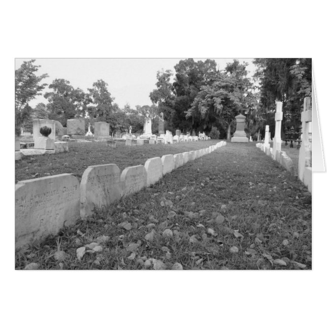 Row of Nuns (Front Horizontal)