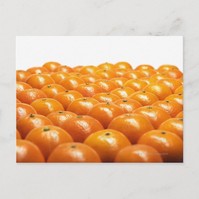 Row of oranges postcard (Front)