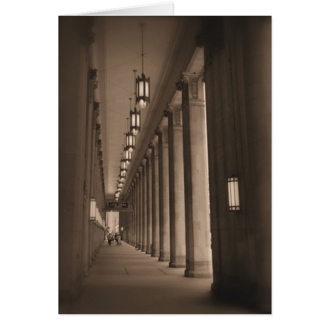 Row of Pillars - Civic Opera House - Chicago (Front)