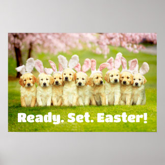 Row of Puppy Bunnies Poster