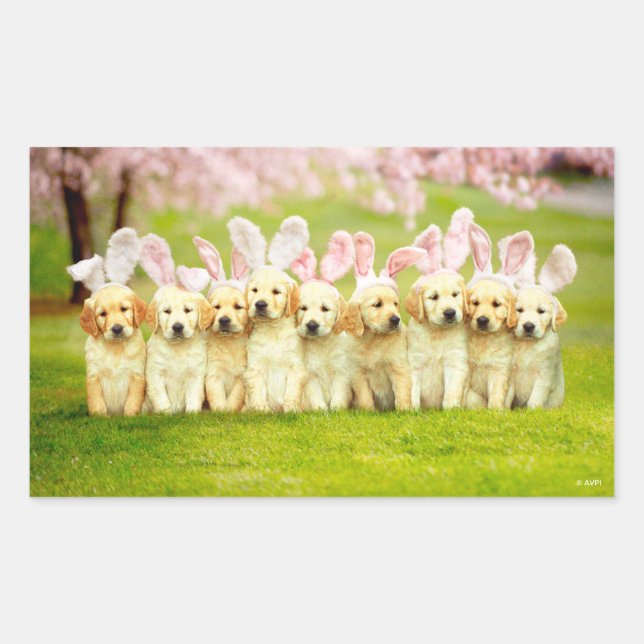 Row of Puppy Bunnies Rectangular Sticker (Front)