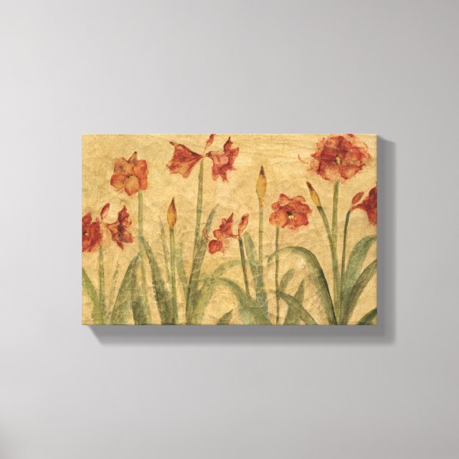 Row of Red Amaryllis Canvas Print (Front)