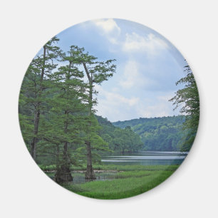 Row of Trees magnet