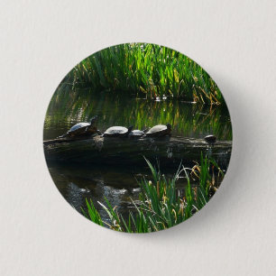 Row of Turtles Green Nature Photo 6 Cm Round Badge